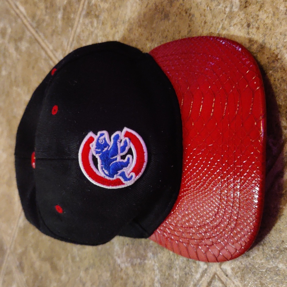 Chicago cubs hat men